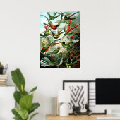Hummingvogels door Ernst Haeckel Poster (Thuiskantoor)