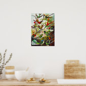 Hummingvogels door Ernst Haeckel Poster (Keuken)