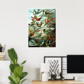 Hummingvogels door Ernst Haeckel Poster (Thuiskantoor)