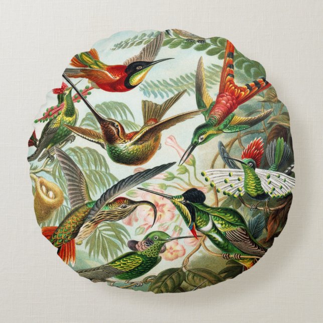 Hummingvogels door Ernst Haeckel Rond Kussen (Voorkant)
