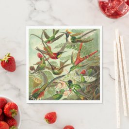 Hummingvogels door Ernst Haeckel Servet