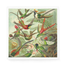 Hummingvogels door Ernst Haeckel