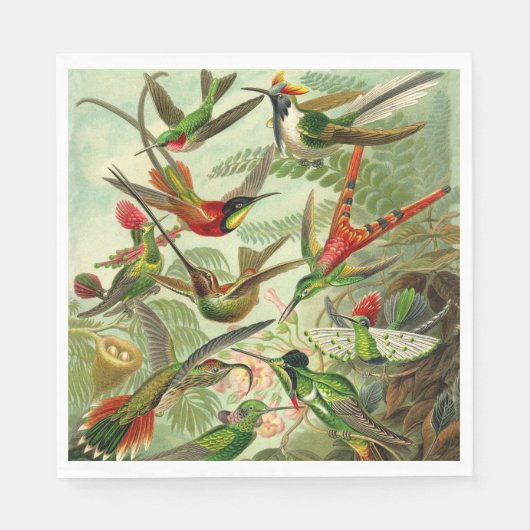 Hummingvogels door Ernst Haeckel Servet (Voorkant)