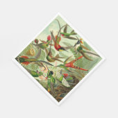 Hummingvogels door Ernst Haeckel Servet (Hoek)