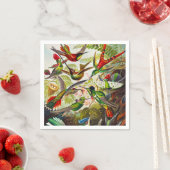  Hummingvogels door Ernst Haeckel Servet (Insitu)