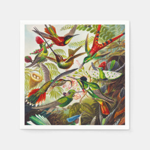 Hummingvogels door Ernst Haeckel Servet