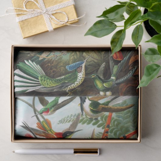 Hummingvogels door Ernst Haeckel Tissuepapier (Geschenk)