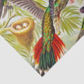  Hummingvogels door Ernst Haeckel Tissuepapier (Detail)