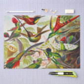  Hummingvogels door Ernst Haeckel Tissuepapier (Craft)