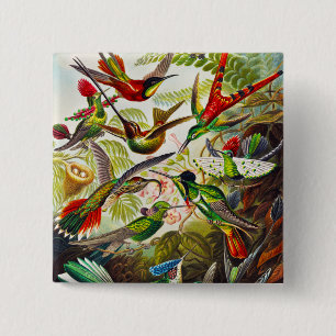 Hummingvogels door Ernst Haeckel Vierkante Button 5,1 Cm