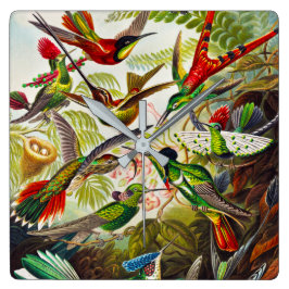  Hummingvogels door Ernst Haeckel Vierkante Klok