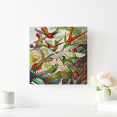  Hummingvogels door Ernst Haeckel Vierkante Klok (Huis)