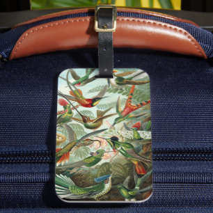 Hummingvogels door Ernst Haeckel,  vogelbomen Bagagelabel