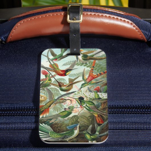 Hummingvogels door Ernst Haeckel,  vogelbomen Bagagelabel (Voorkant Insitu 2)