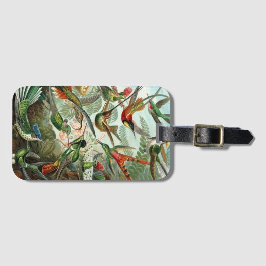 Hummingvogels door Ernst Haeckel,  vogelbomen Bagagelabel (Voorkant (horizontaal))