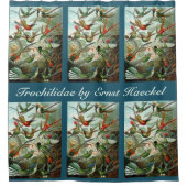 Hummingvogels door Ernst Haeckel,  vogelbomen Douchegordijn (Voorkant)