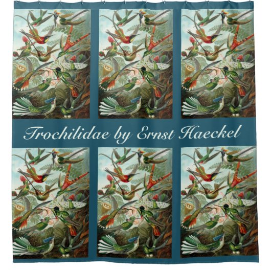 Hummingvogels door Ernst Haeckel,  vogelbomen Douchegordijn (Voorkant)