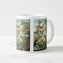 Hummingvogels door Ernst Haeckel,  vogelbomen