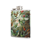 Hummingvogels door Ernst Haeckel, vogelbomen Heupfles (Links)