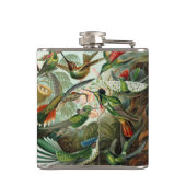 Hummingvogels door Ernst Haeckel, vogelbomen Heupfles (Achterkant)