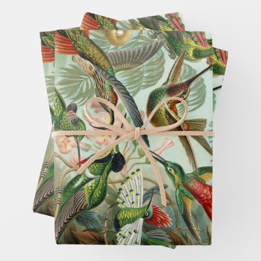 Hummingvogels door Ernst Haeckel,  vogelbomen Inpakpapier Vel (In situ)