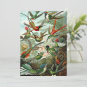 Hummingvogels door Ernst Haeckel,  vogelbomen Kaart (Staand voorkant)