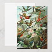 Hummingvogels door Ernst Haeckel,  vogelbomen Kaart (Voorkant / Achterkant)