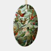 Hummingvogels door Ernst Haeckel,  vogelbomen Keramisch Ornament (Rechts)