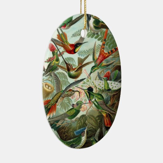 Hummingvogels door Ernst Haeckel,  vogelbomen Keramisch Ornament (Rechts)