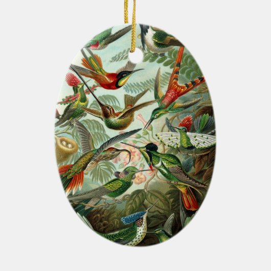 Hummingvogels door Ernst Haeckel,  vogelbomen Keramisch Ornament (Achterkant)