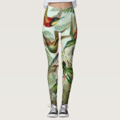 Hummingvogels door Ernst Haeckel, vogelbomen Leggings (Voorkant)
