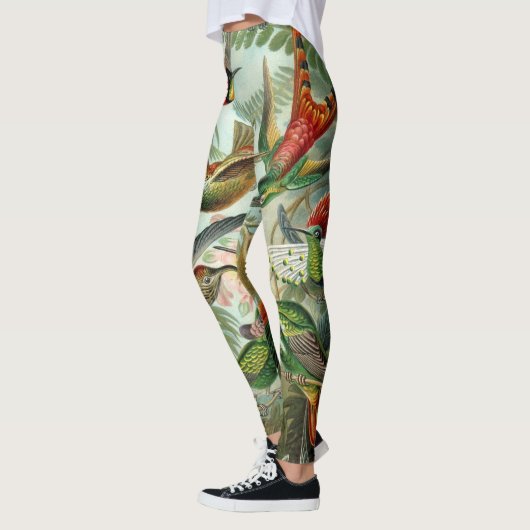 Hummingvogels door Ernst Haeckel, vogelbomen Leggings (Links)