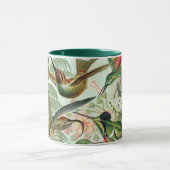 Hummingvogels door Ernst Haeckel, vogelbomen Mok (Midden)