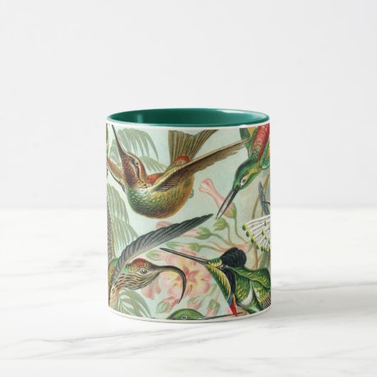 Hummingvogels door Ernst Haeckel, vogelbomen Mok (Midden)