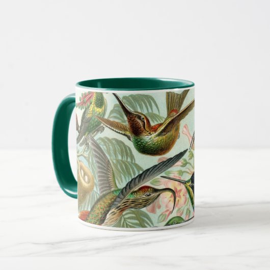 Hummingvogels door Ernst Haeckel,  vogelbomen Mok (Voorkant links)