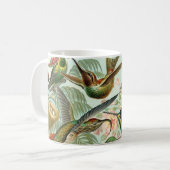 Hummingvogels door Ernst Haeckel,  vogelbomen Mok (Voorkant links)