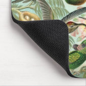 Hummingvogels door Ernst Haeckel, vogelbomen Muismat (Hoek)