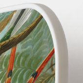 Hummingvogels door Ernst Haeckel, vogelbomen Pickleball Paddle (Links Detail)