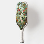 Hummingvogels door Ernst Haeckel, vogelbomen Pickleball Paddle (Links)