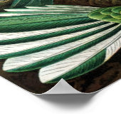 Hummingvogels door Ernst Haeckel,  vogelbomen Poster (Hoek)