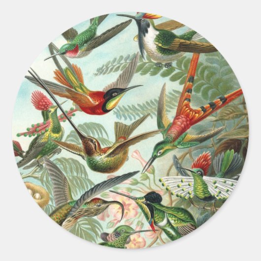 Hummingvogels door Ernst Haeckel,  vogelbomen Ronde Sticker (Voorkant)