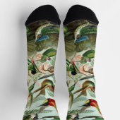 Hummingvogels door Ernst Haeckel,  vogelbomen Sokken (Top)