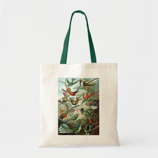 Hummingvogels door Ernst Haeckel,  vogelbomen Tote Bag (Voorkant)