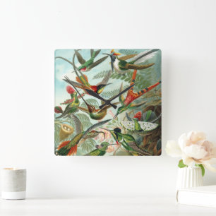 Hummingvogels door Ernst Haeckel,  vogelbomen Vierkante Klok