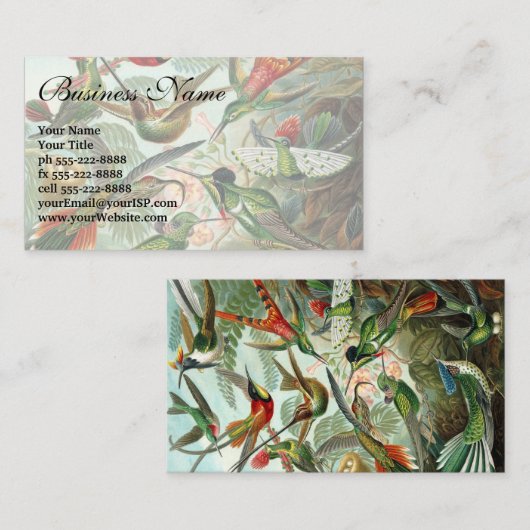 Hummingvogels door Ernst Haeckel,  vogelbomen Visitekaartje (Voorkant / Achterkant)