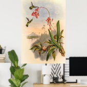 Hummingvogels door John Gould Poster (Thuiskantoor)