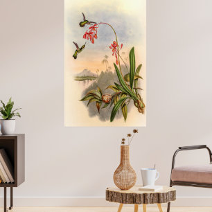 Hummingvogels door John Gould Poster