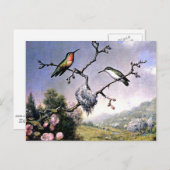 Hummingvogels en appelbloesems briefkaart (Voorkant / Achterkant)