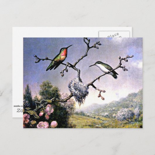 Hummingvogels en appelbloesems briefkaart (Voorkant / Achterkant)