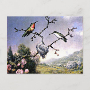 Hummingvogels en appelbloesems briefkaart
